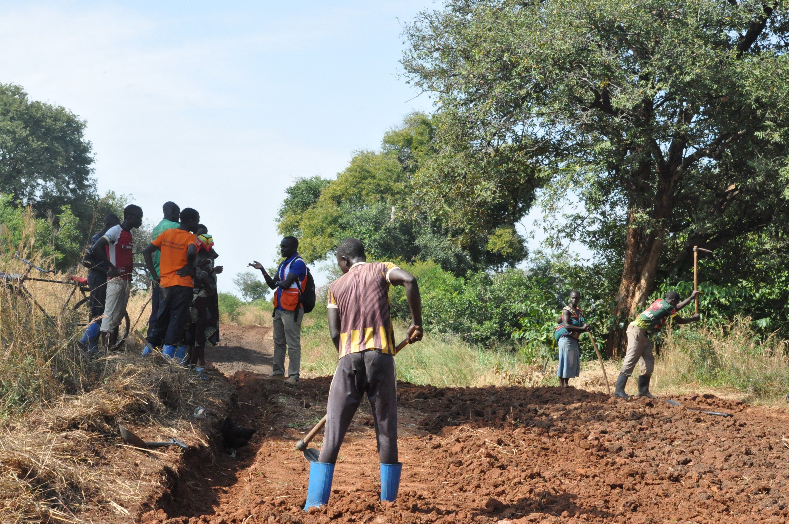 A group of men in Adjuman clearing the road. They each earn about $5 for their work under the UN degree.