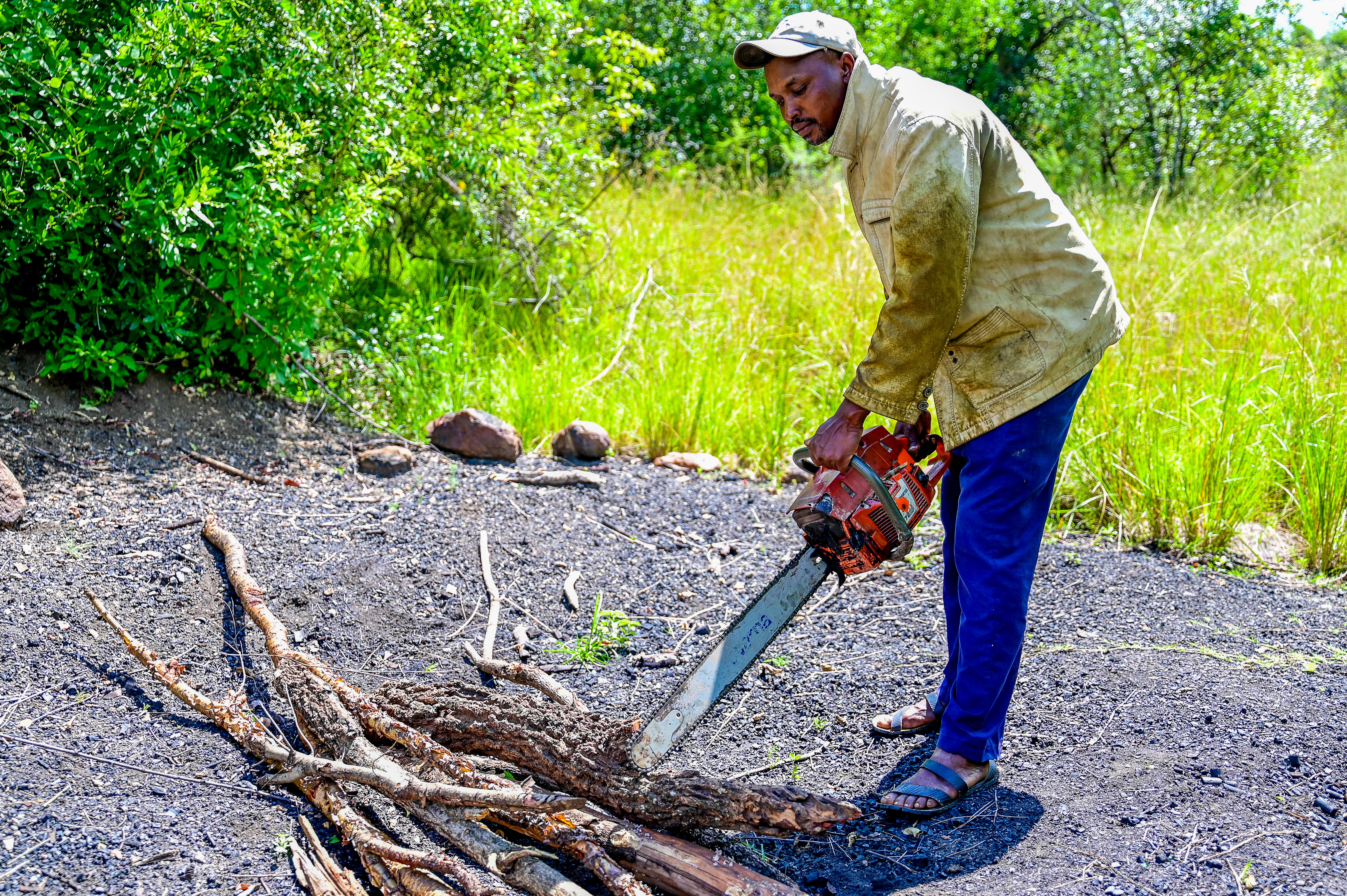 As a charcoal burner, Ezekiel would cut at least 100 trees in a day