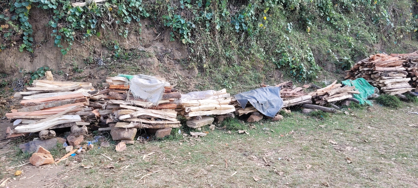 Firewood is among the main sources of fuel used for cooking in many rural homes in Kenya. FMNR enables families get sustainable firewood thus saving money to be used for other household expenses. ©World Vision photo/Hellen Owuor.