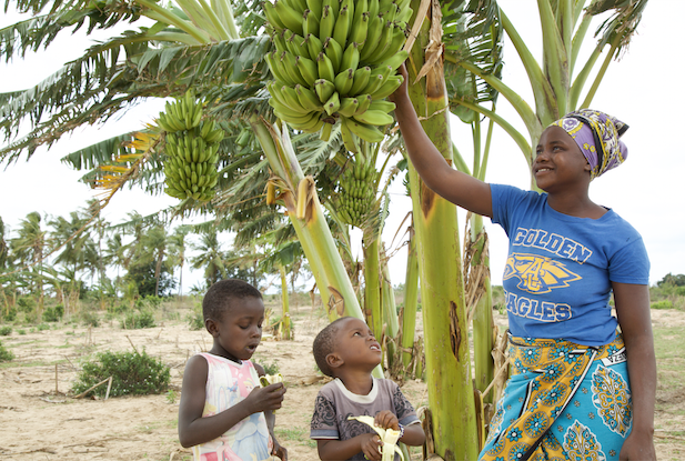 Emma and her banana farm