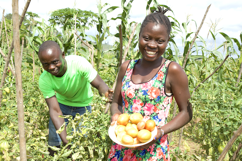 A new generation of farmers