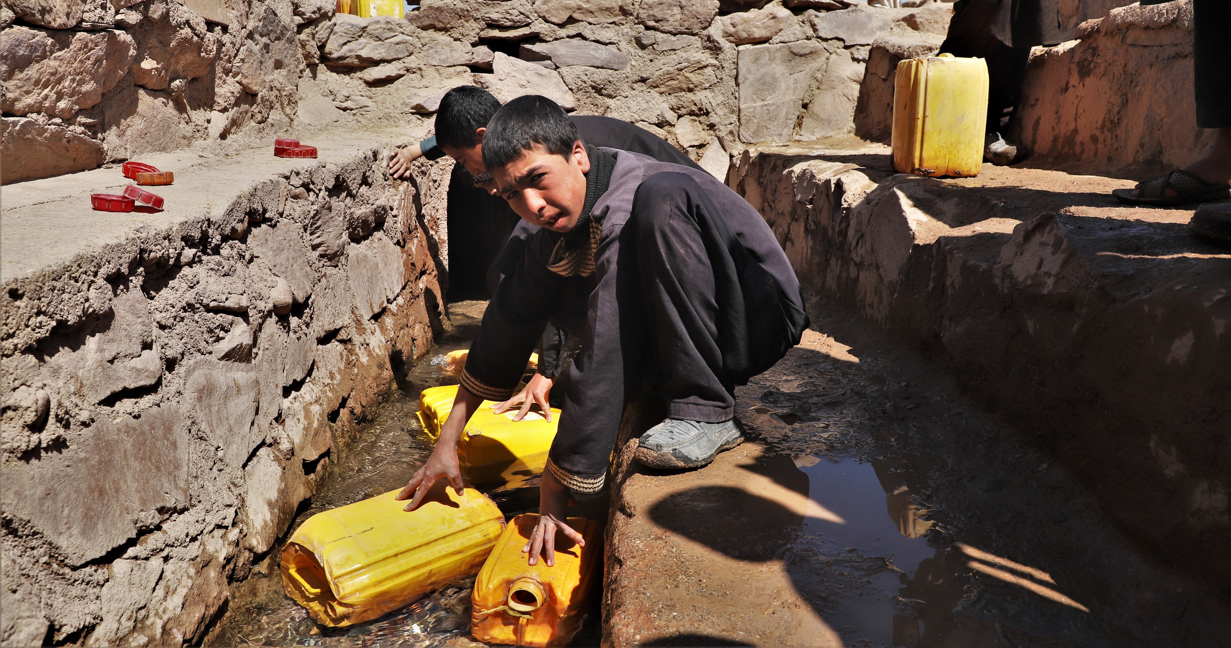 Oasis amid the drought