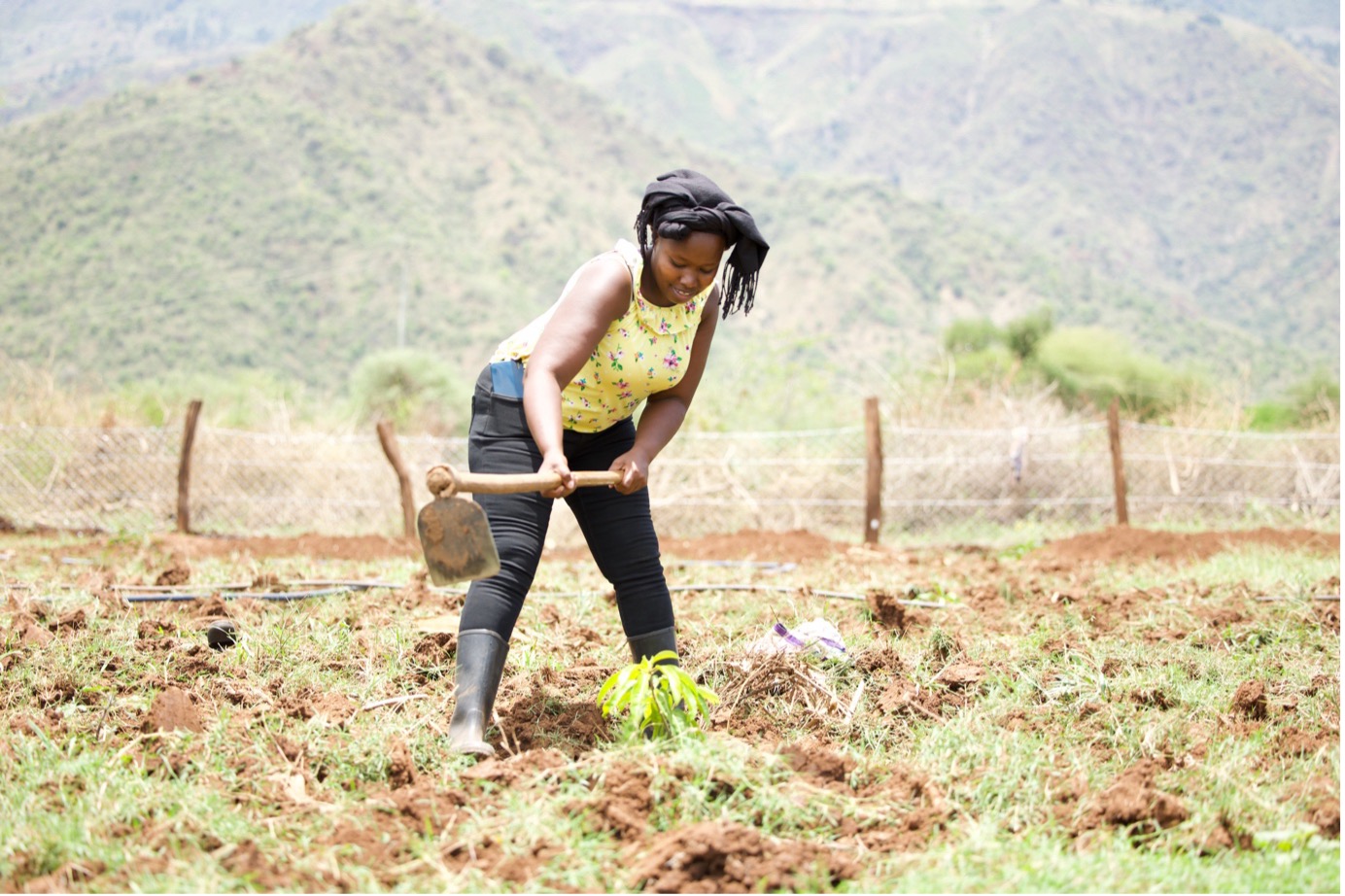 On her farm, Restore Africa has established a mango demonstration plot where she has planted 30 grafted mango seedlings. This will serve as a key learning hub for other farmers in the community. “Farmers will come here to learn better land management practices and mango production,” she explains. © World Vision Photo/Felix Pilipili
