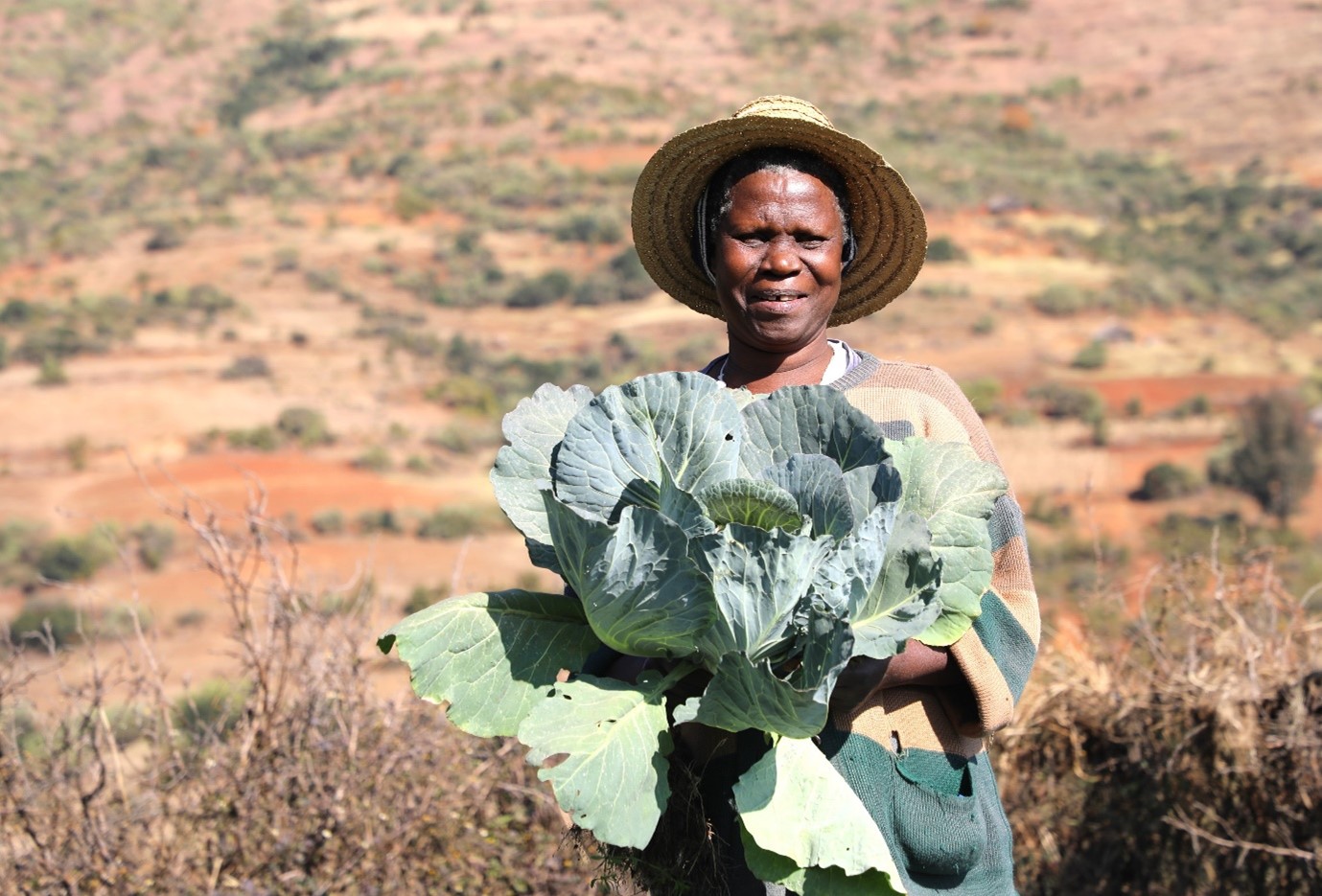 Triumph Against Climate Change and Food Insecurity