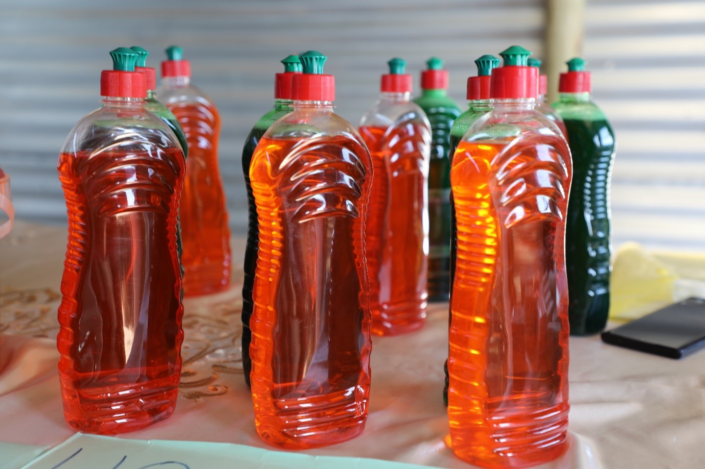 Economic Empowerment of Nutrition Clubs in Lesotho