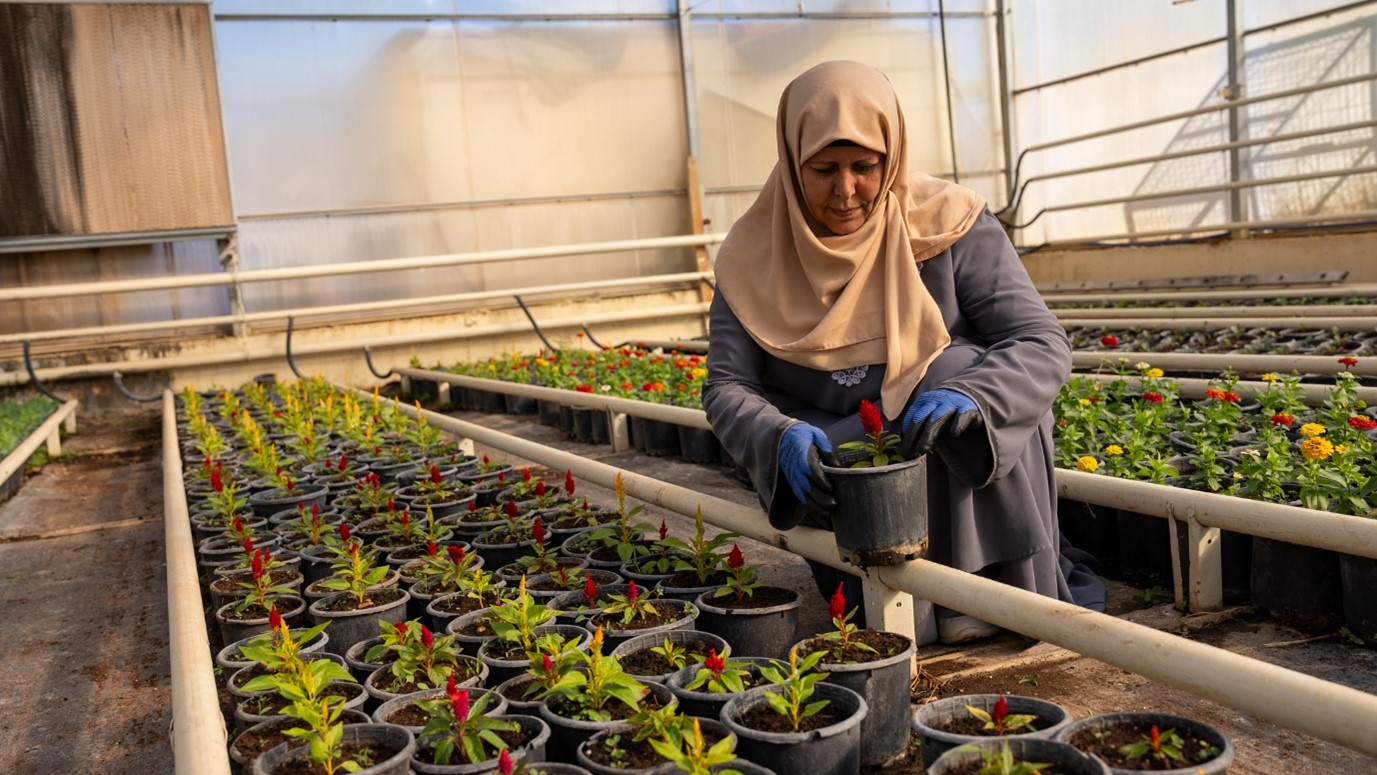 Fatima carefully checks on the flowers, putting into practice what she learned from her course, World Vision Syria Response– Samer Asaid