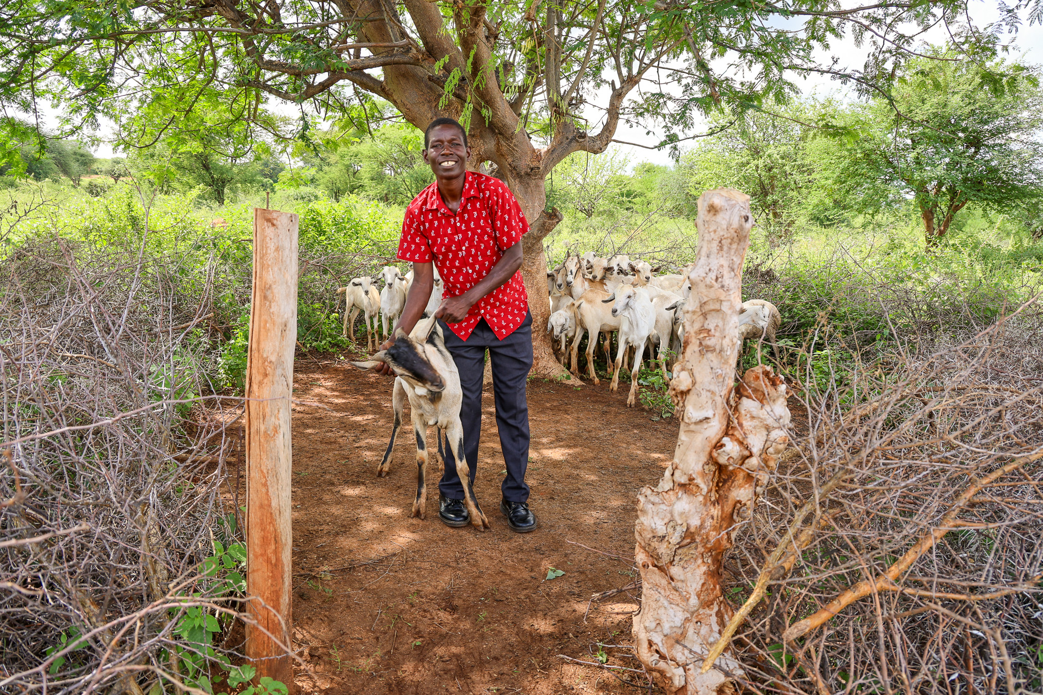 Christina Muthengi of Wikwatyo Self-Help Group in Mlangoni, Kitui County, proudly stands by her herd of 34 goats—grown from just three in two years through saving and loans from her VSLA. © World Vision Kenya/ Jared Ontobo