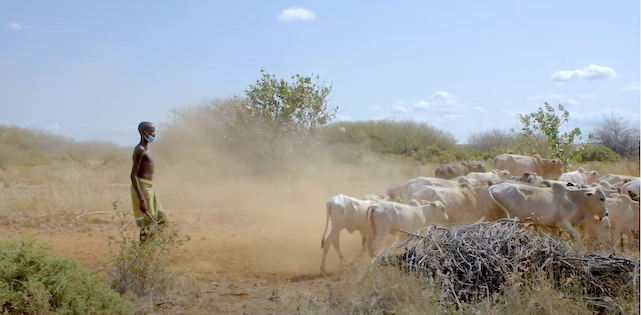 The Ewaso community relies on livestock to earn a living. ©World Vision Photo/Charles Kariuki.