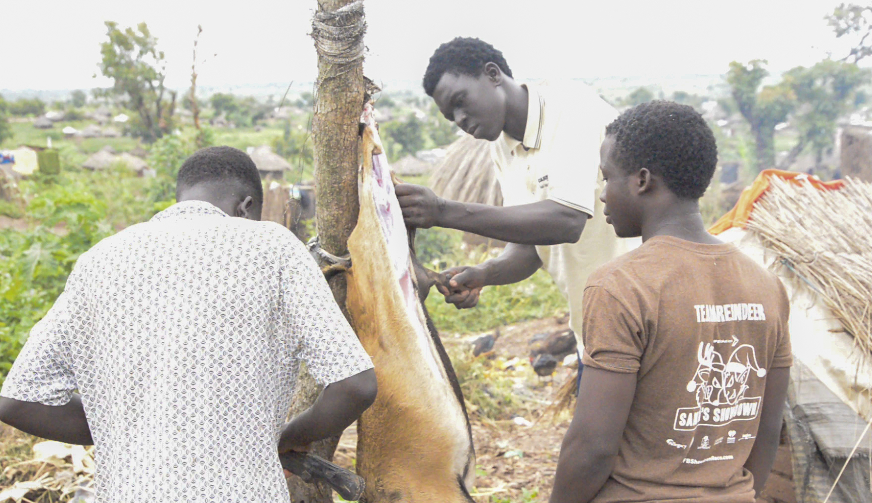 Isaac's only goat was slaughtered to provide a big meal for his visitors