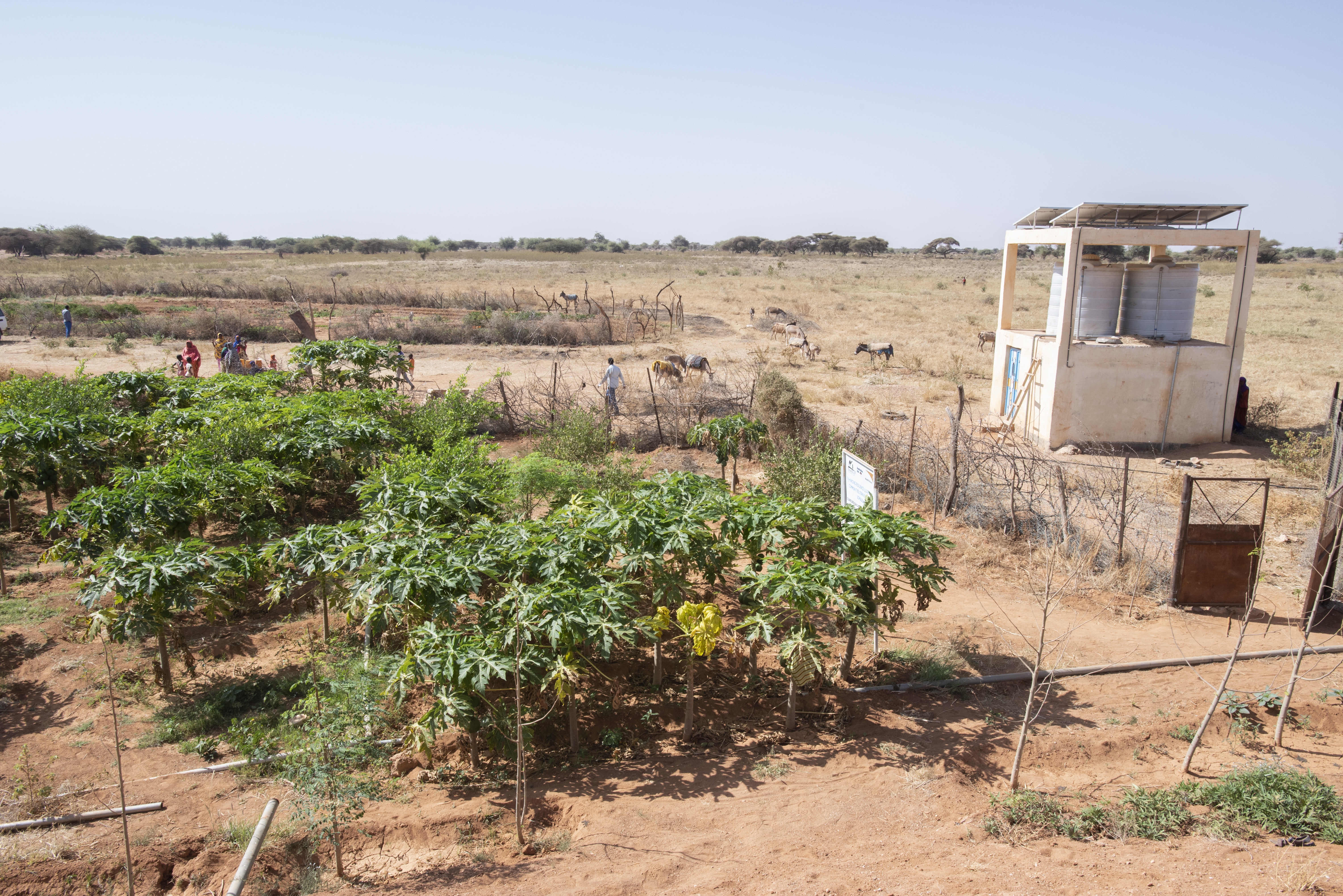 View of the earth dam constructed by World Vision for supplying drinking water for 60 households, as well as water for a vegetable farm. 