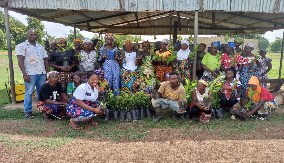 EU-LEAN Project beneficiaries received seedlings for planting to resotre degraded lands. 