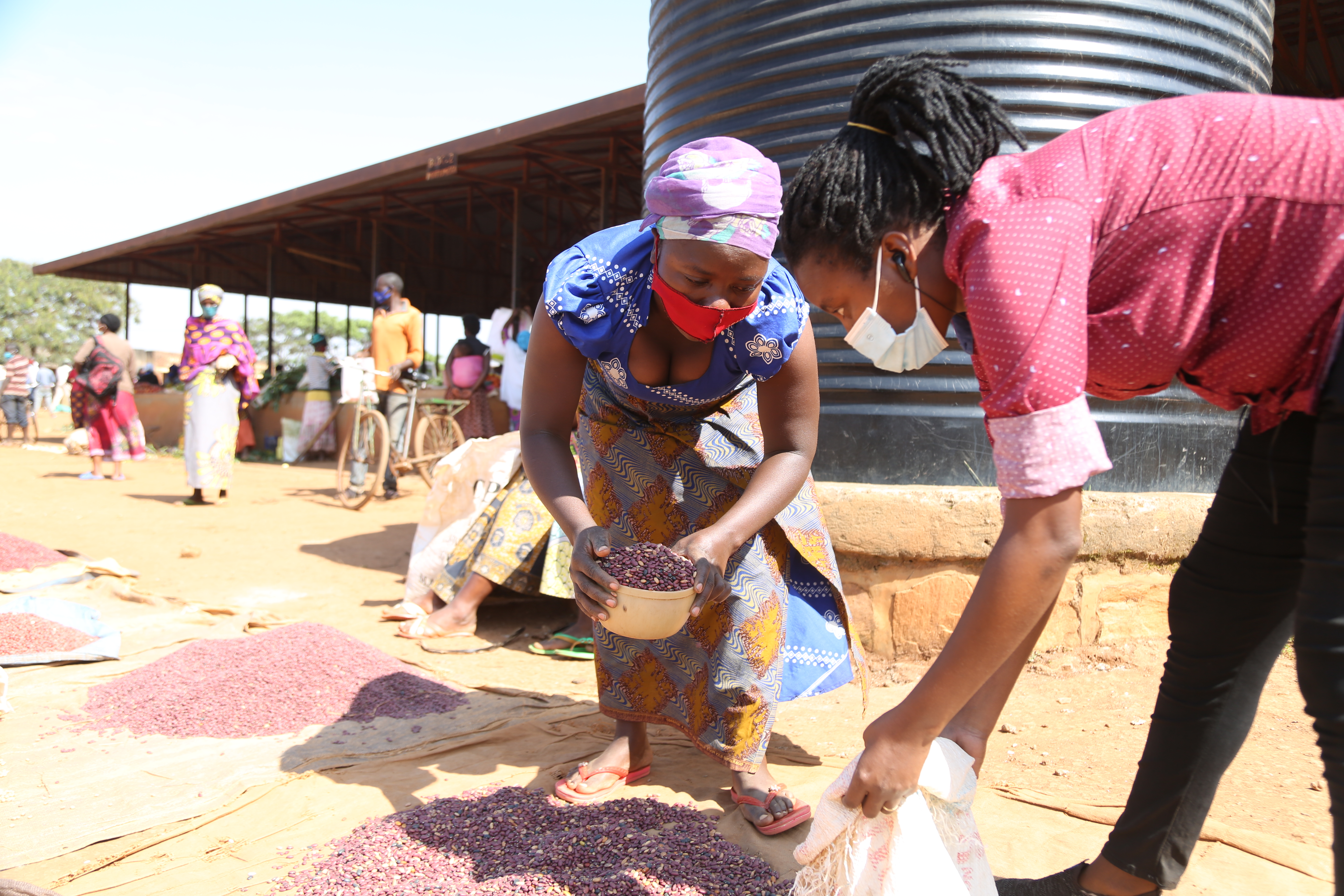 Francine (wearing a head wrap) sorting her beans for selling at the market