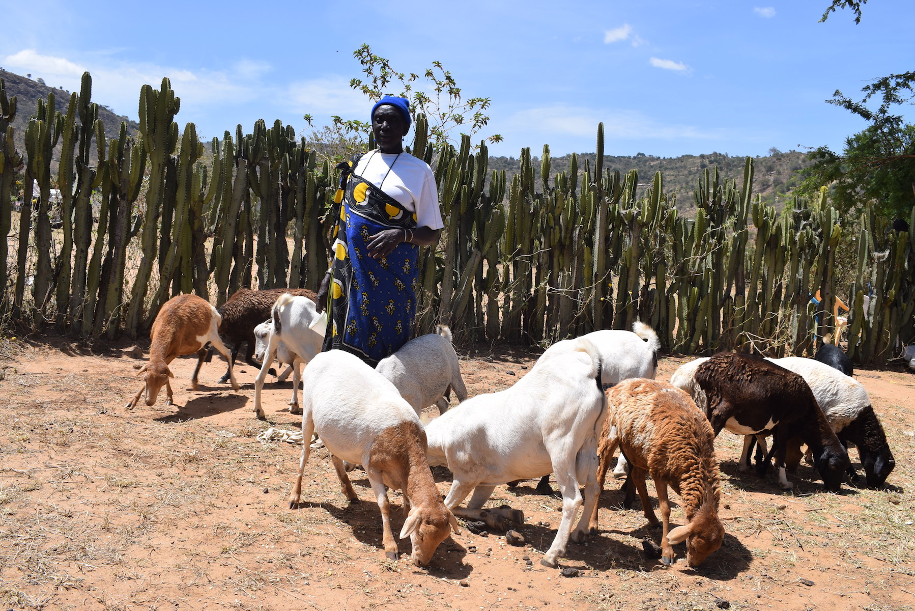 Thanks to the support of World Vision in Kenya, Chepurai now makes money from livestock farming instead of circumcising girls. @World Vision/Photo by Sarah Ooko.