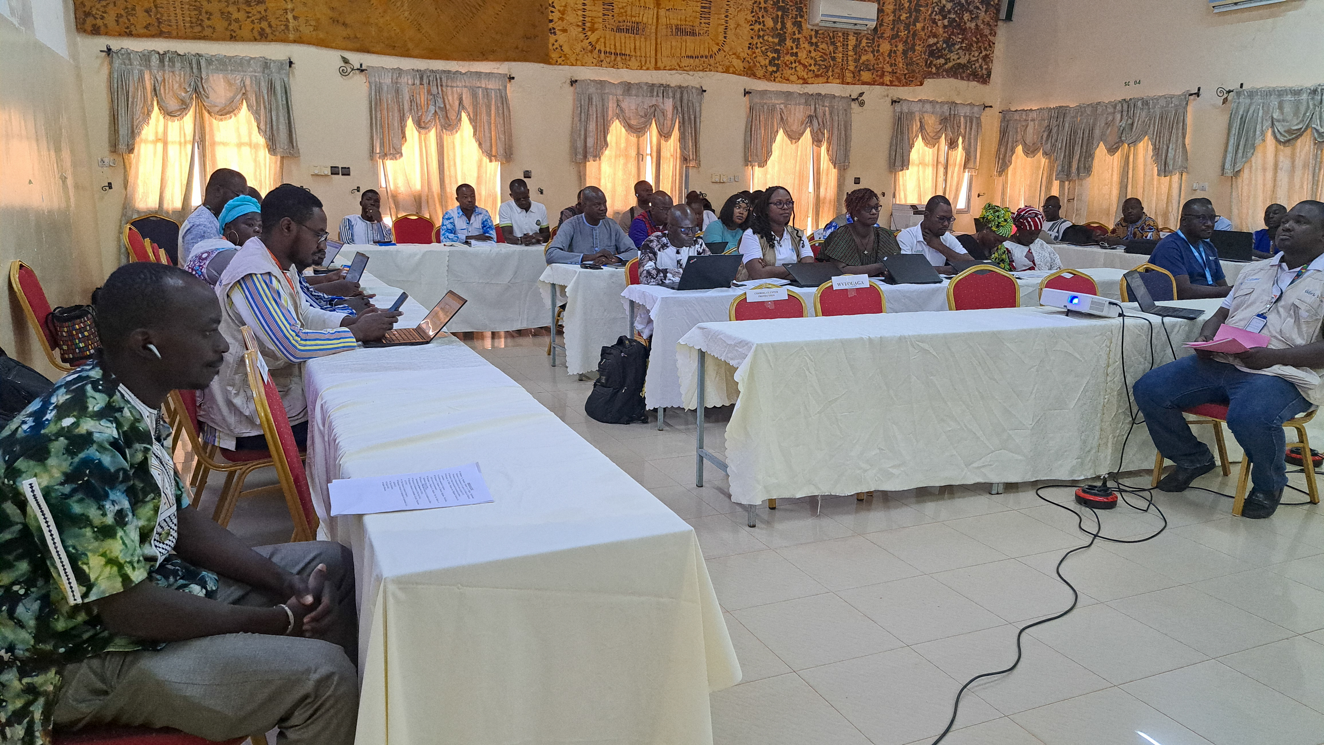 The SAVE Project Reviews Its Achievements in the Bankuy and Sourou Regions