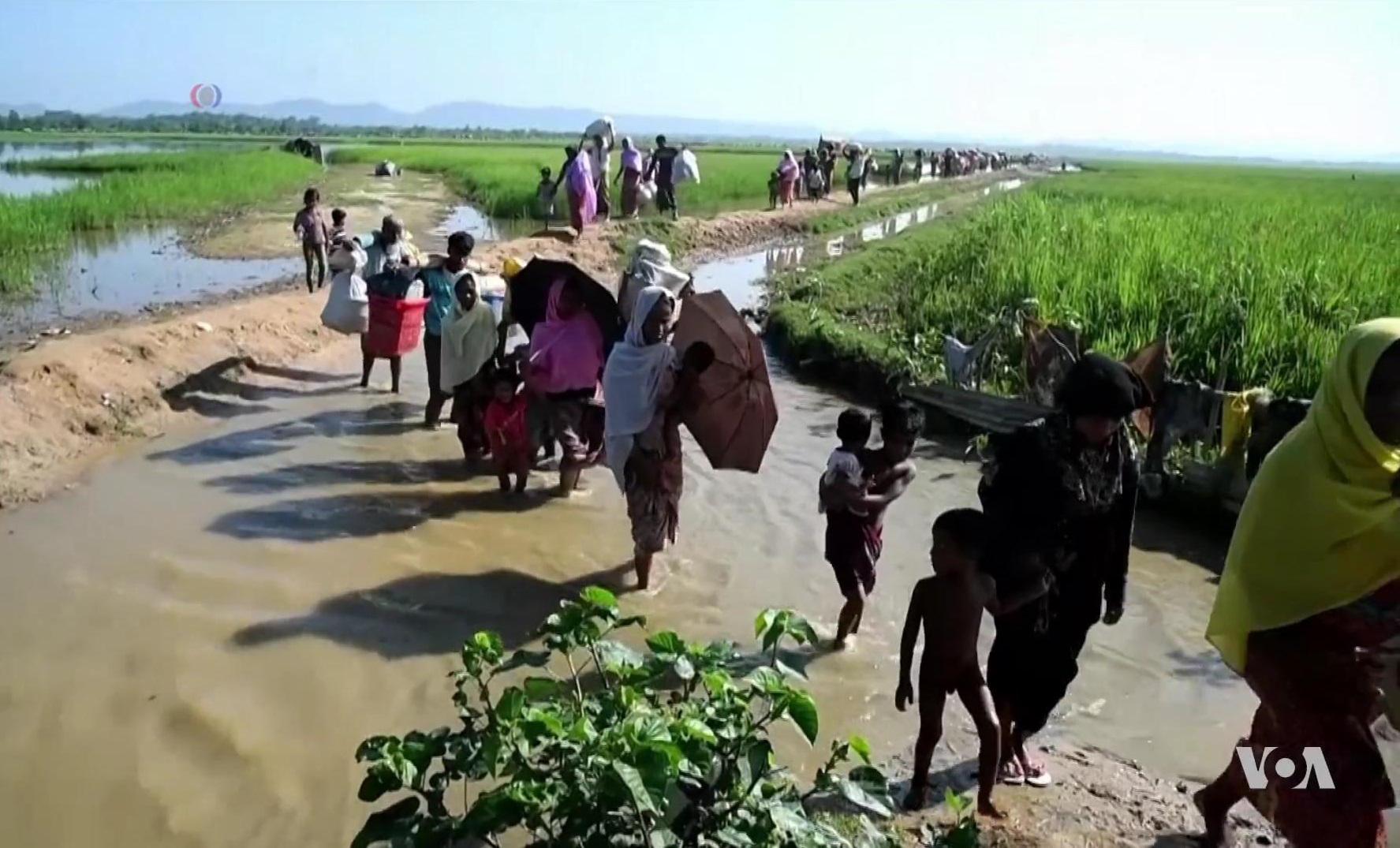 Rohingya refugees entering Bangladesh