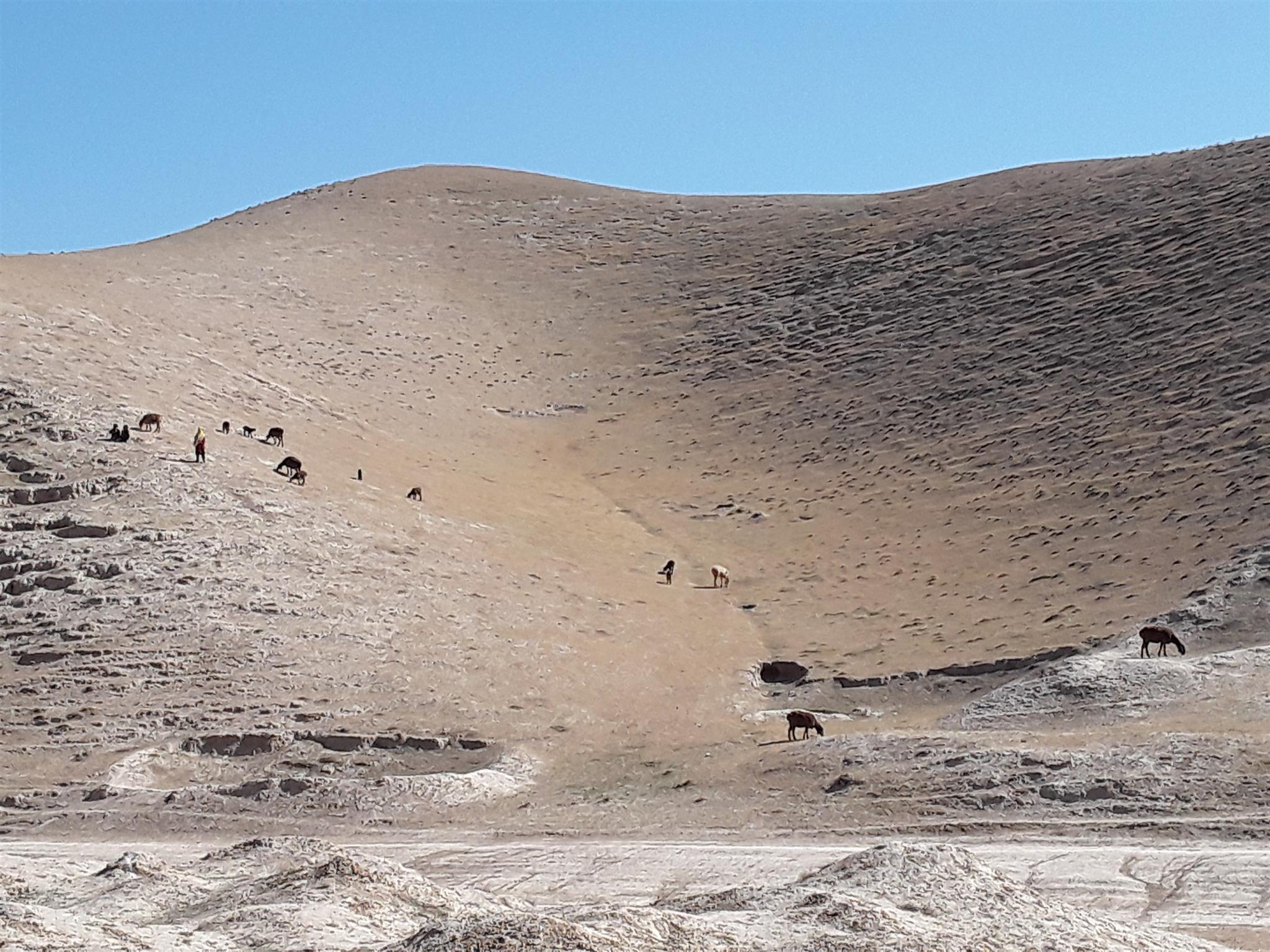 Drought in Badghis