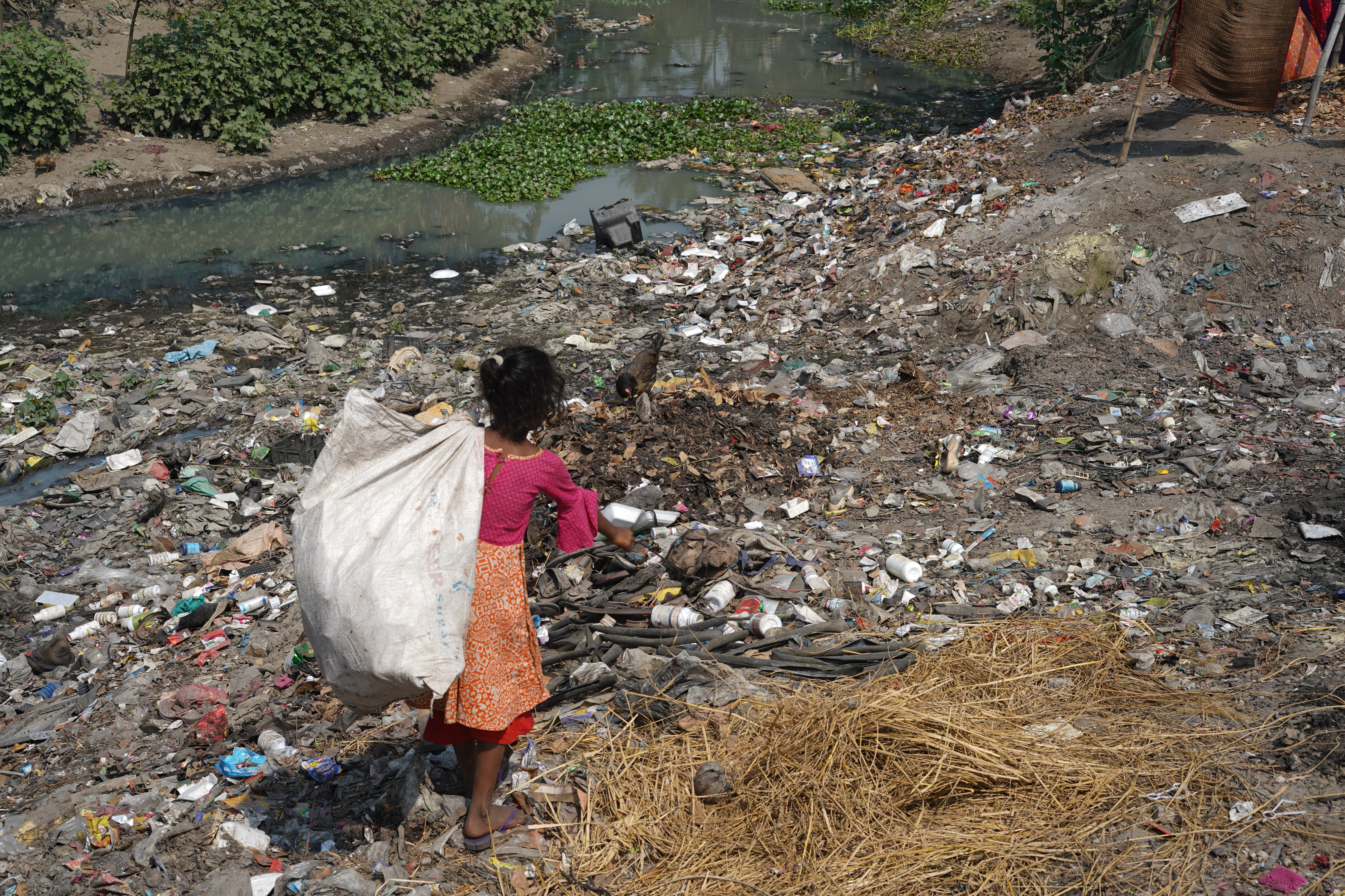 A child engaged in a hazardous job in the areas of Dinajpur and Kaharole areas in Korea