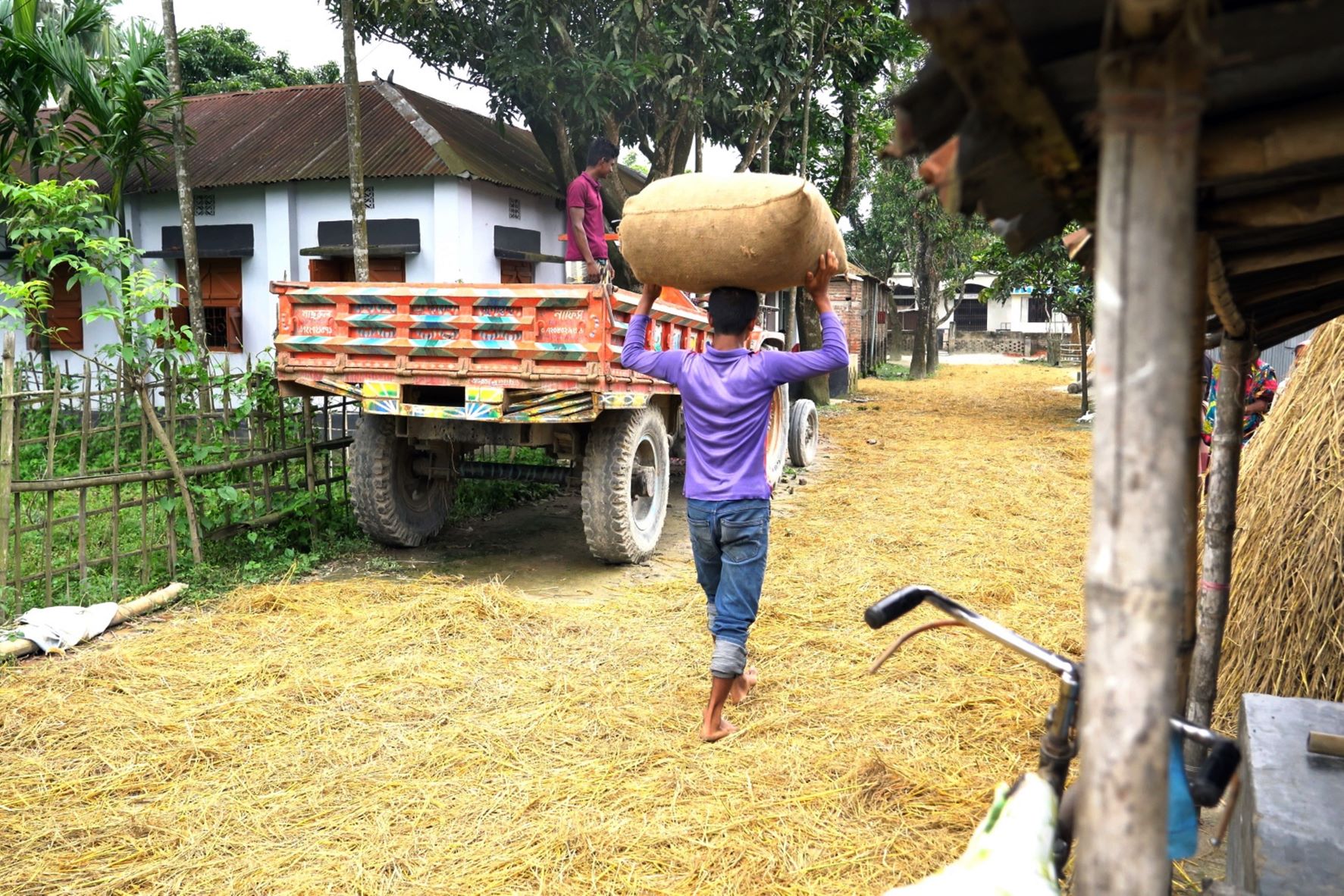 Momen, 14- year-old boy working as a day laborer at a local rice- mill. He is loading a full sack of rice in the trolley truck