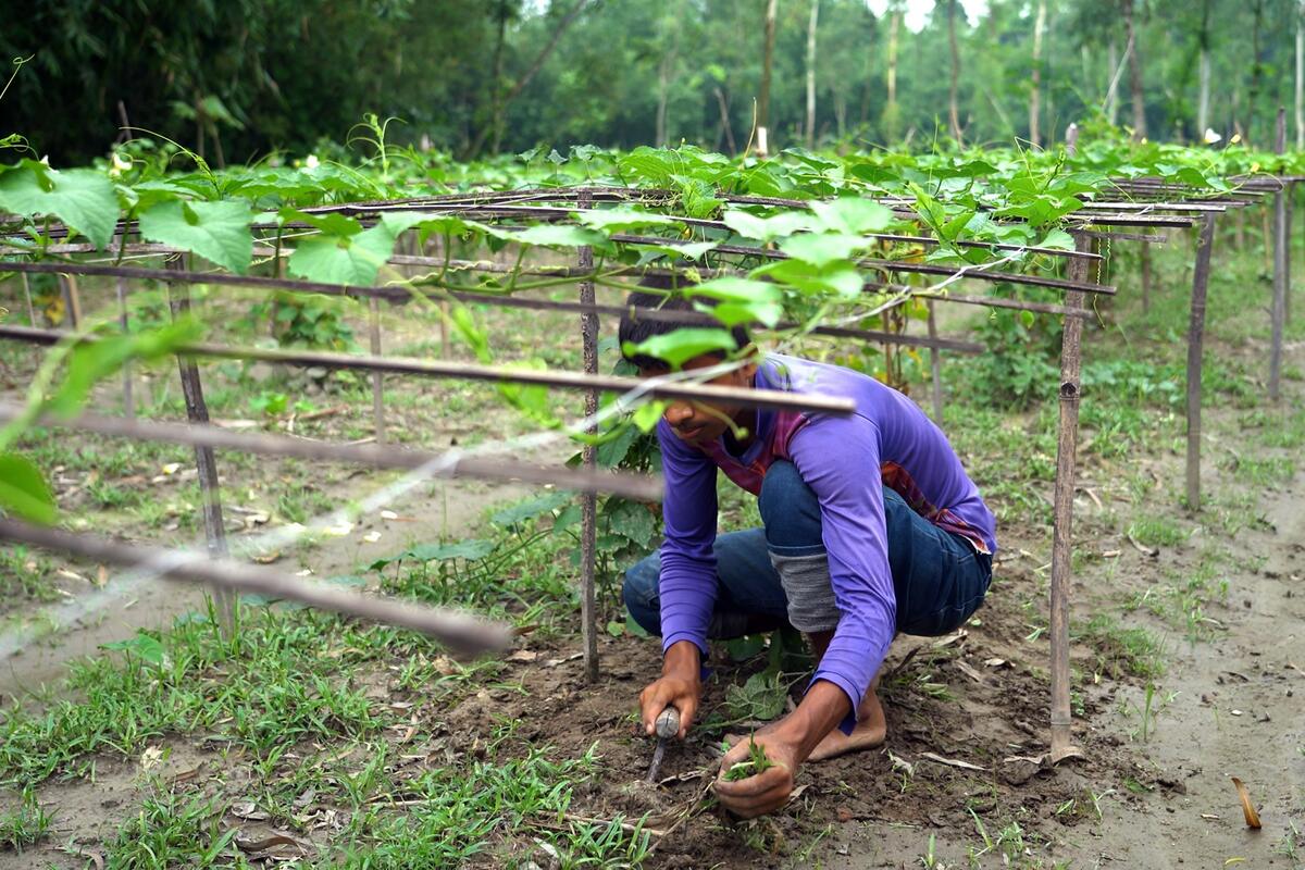 boy forced to work in the fields