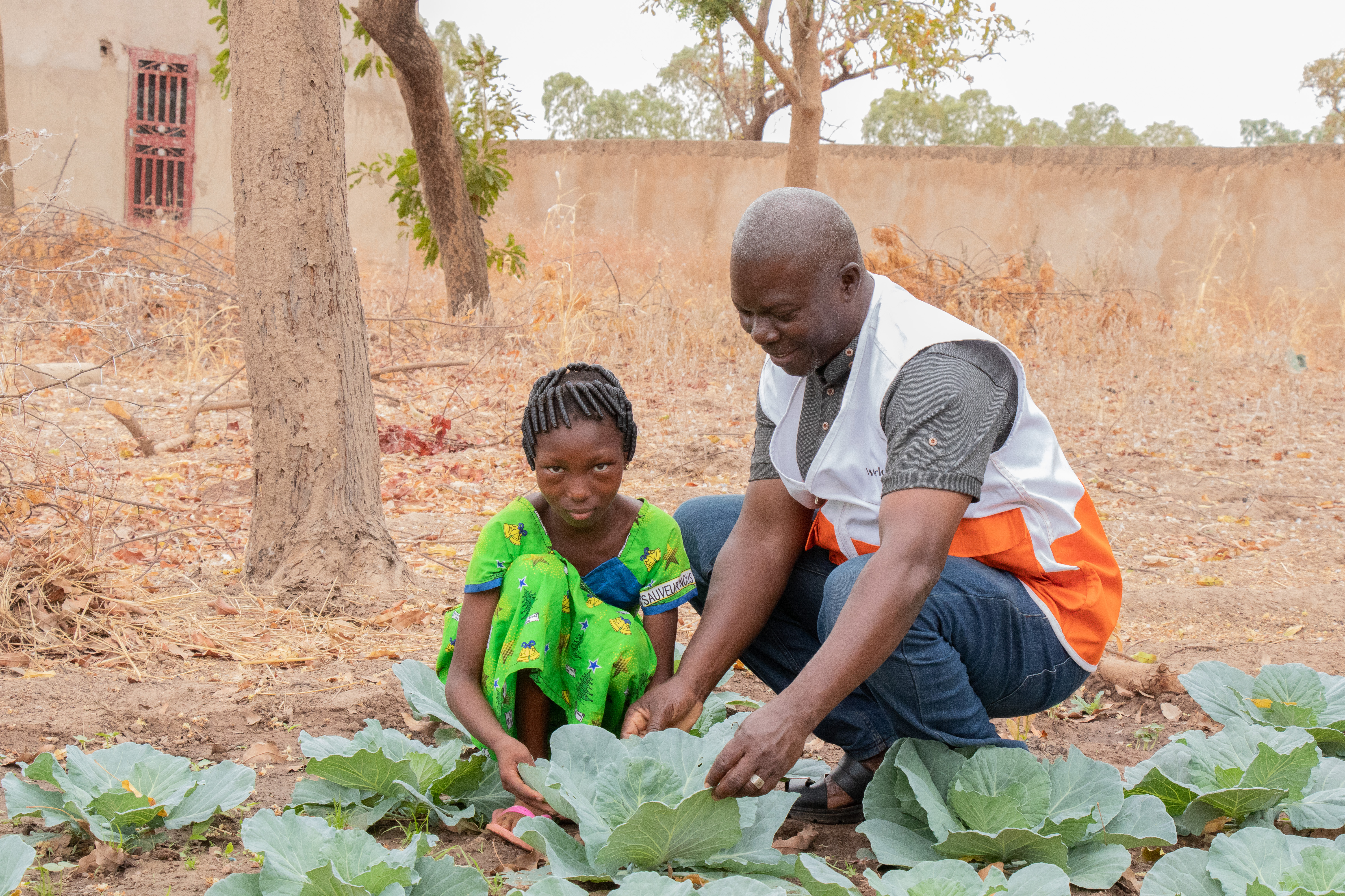 Livelihoods garden