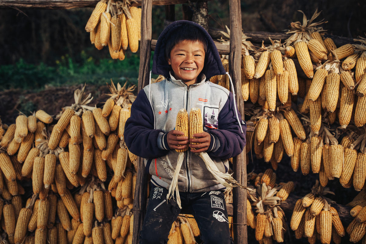 A child standing next to a stock of corn