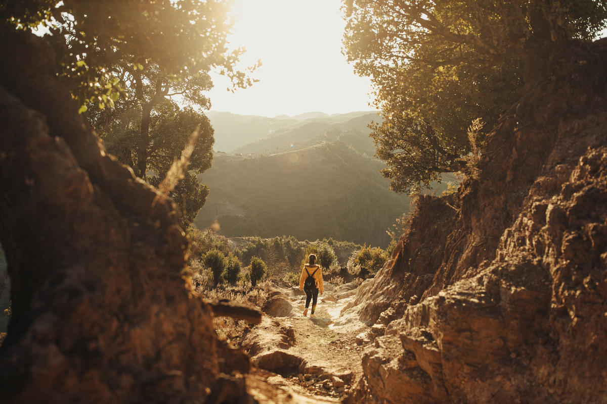 a path in the rocks