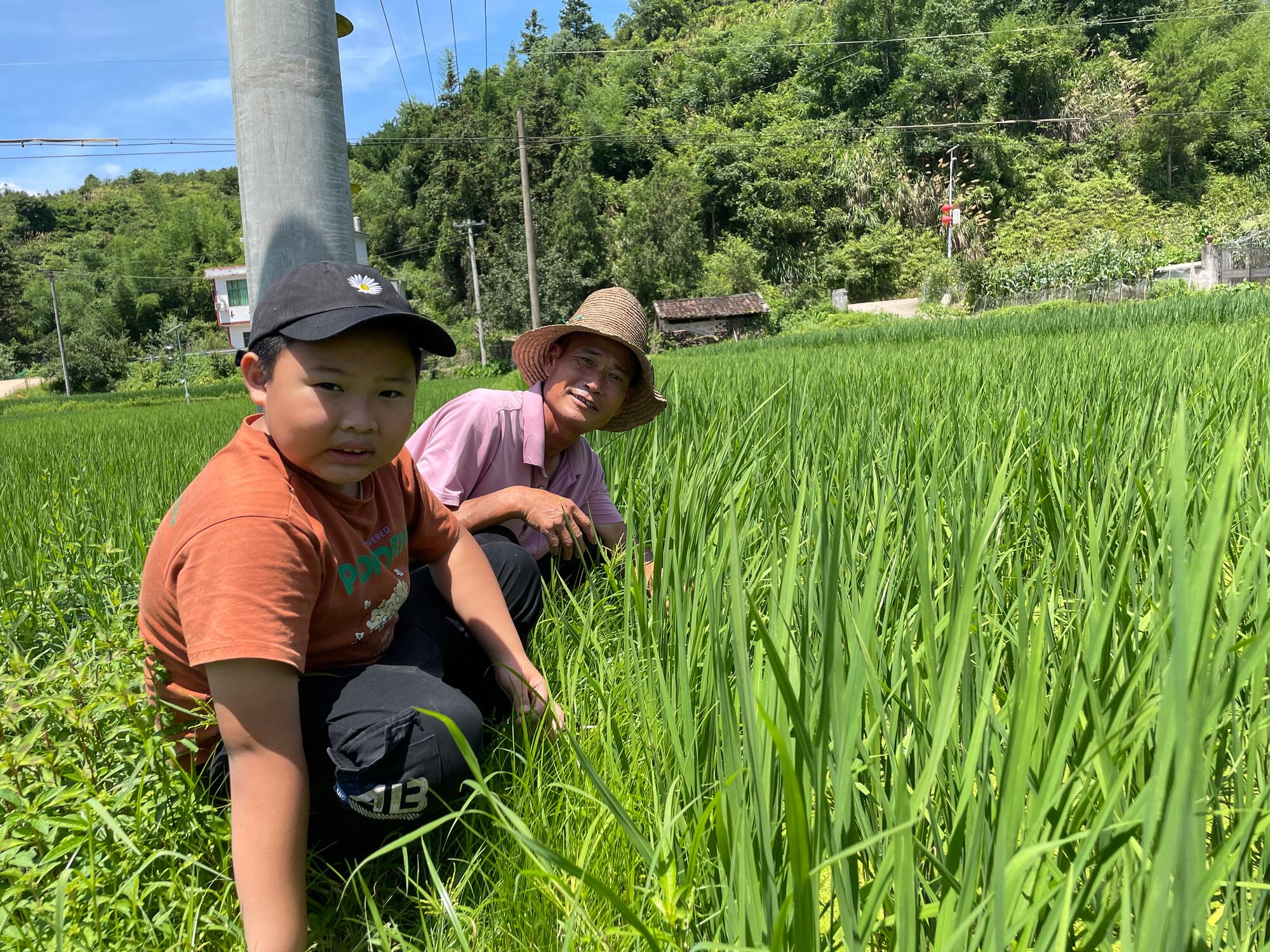 The rice fields are lush and the children are thriving thanks to eco-farming project in Suichuan AP, Jiangxi Province