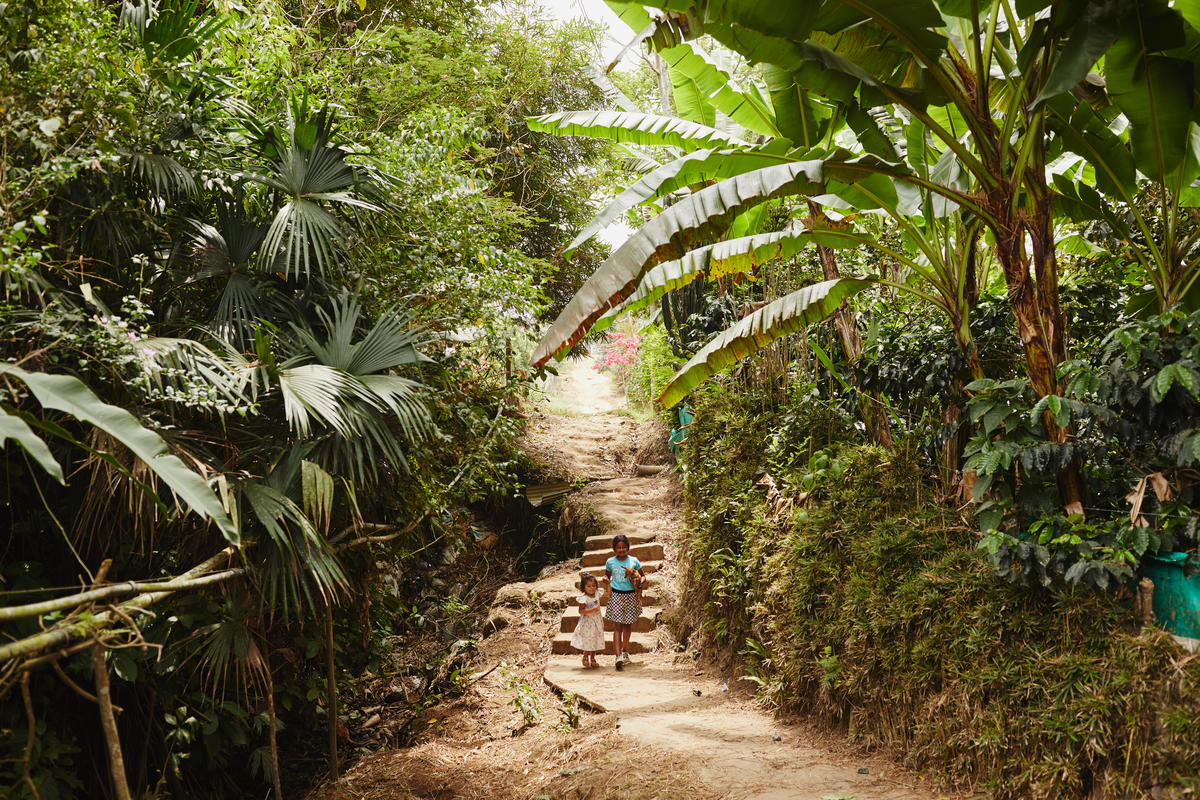 Colombian nature