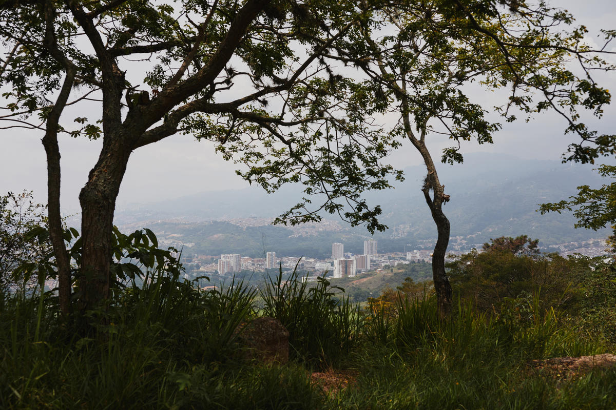 A view of Colombia