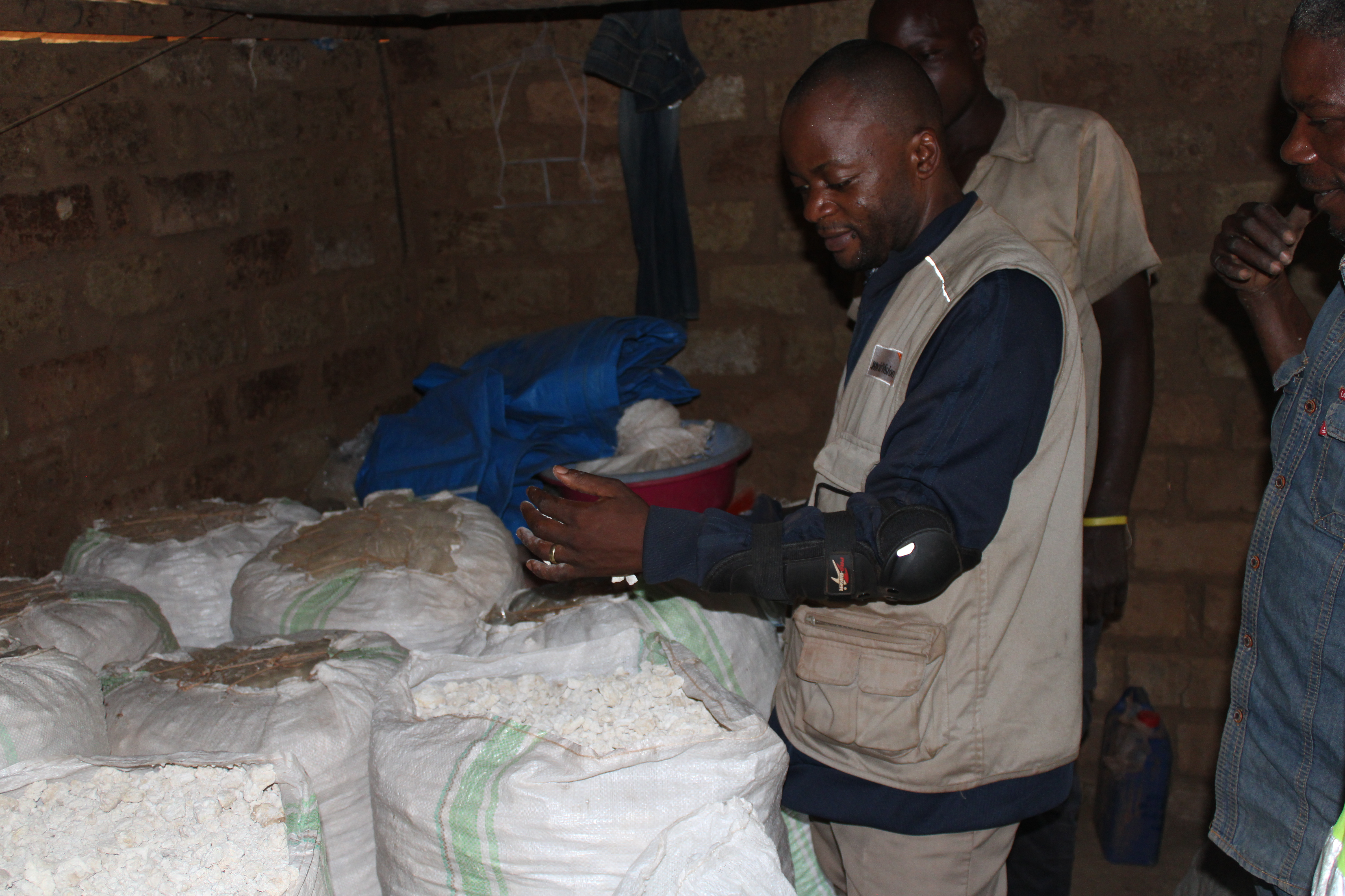 Harvest of cassava and maize