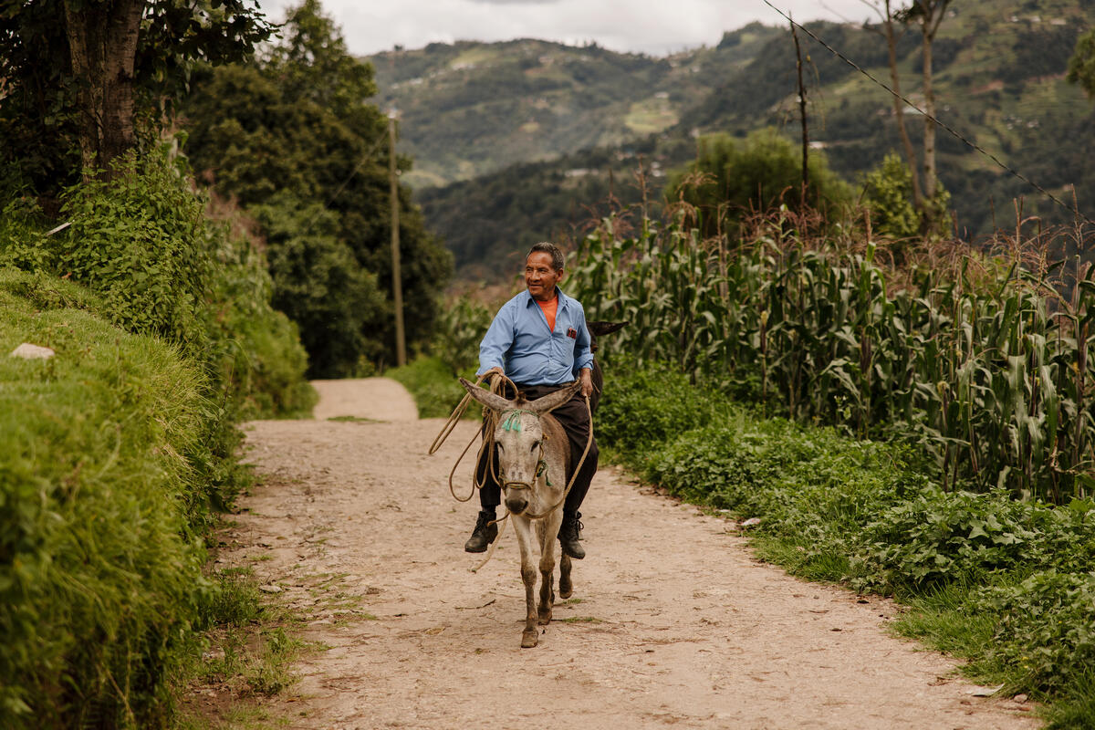 A man riding a donkey