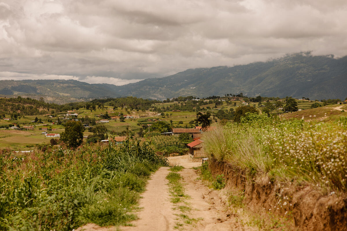 A photo of a field in Guatemala