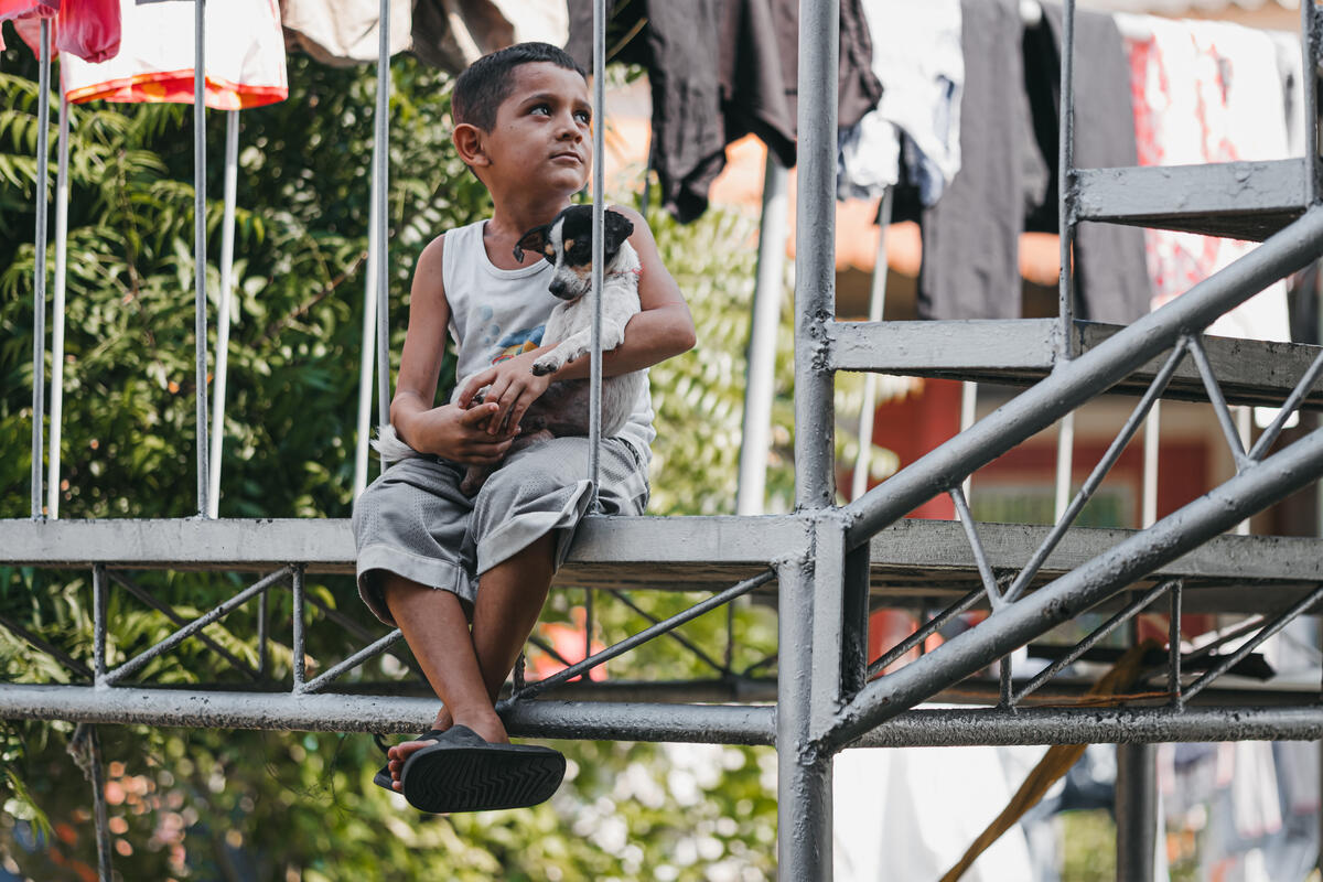 Child displaced by Hurricane in Honduras sits with dog