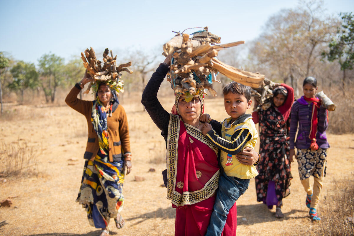 Woman in India carries firewood back for cooking 