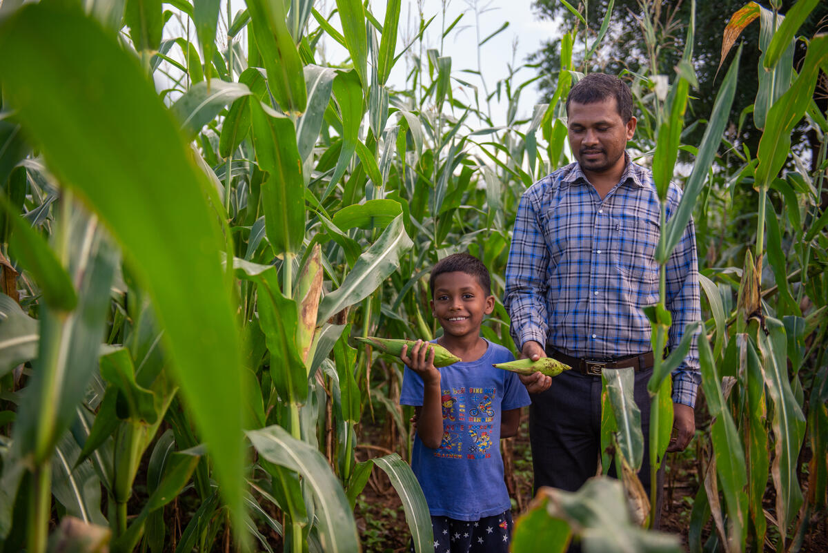 Naruram teaches his son Govind to farm, just like his father taught him.