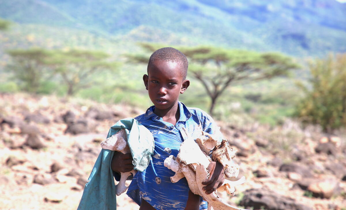 Northern Kenya 