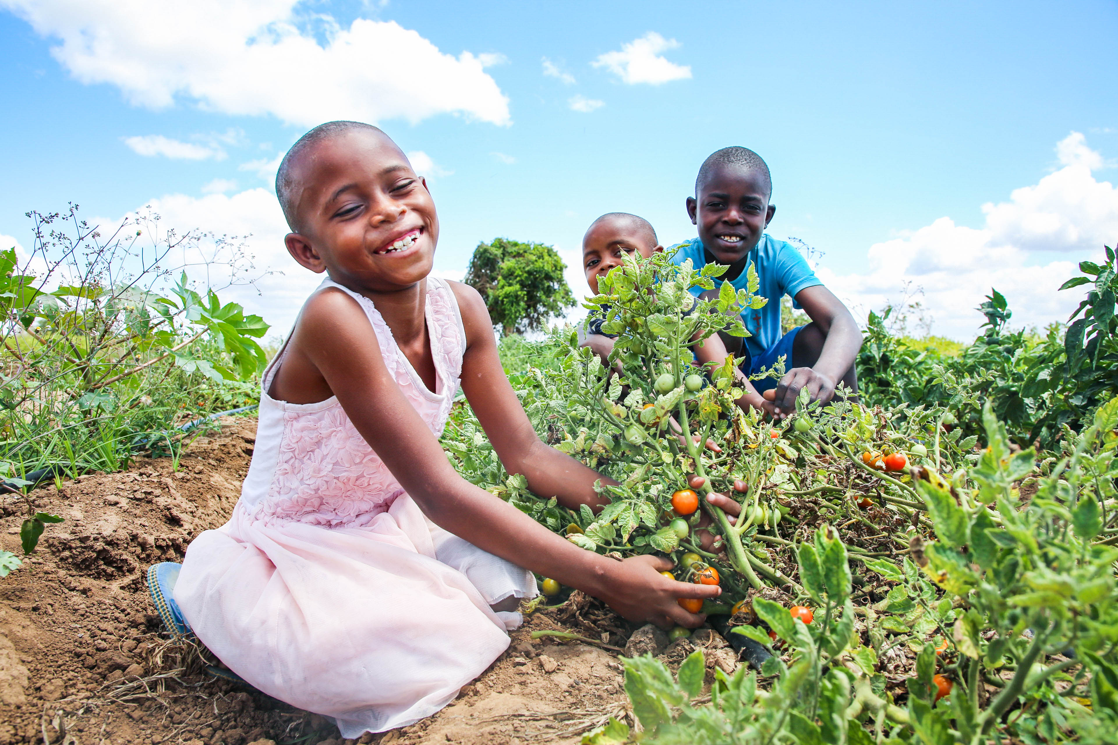 Children in Kenya tend to the vegetables their families are able to grow thank to access to clean water 