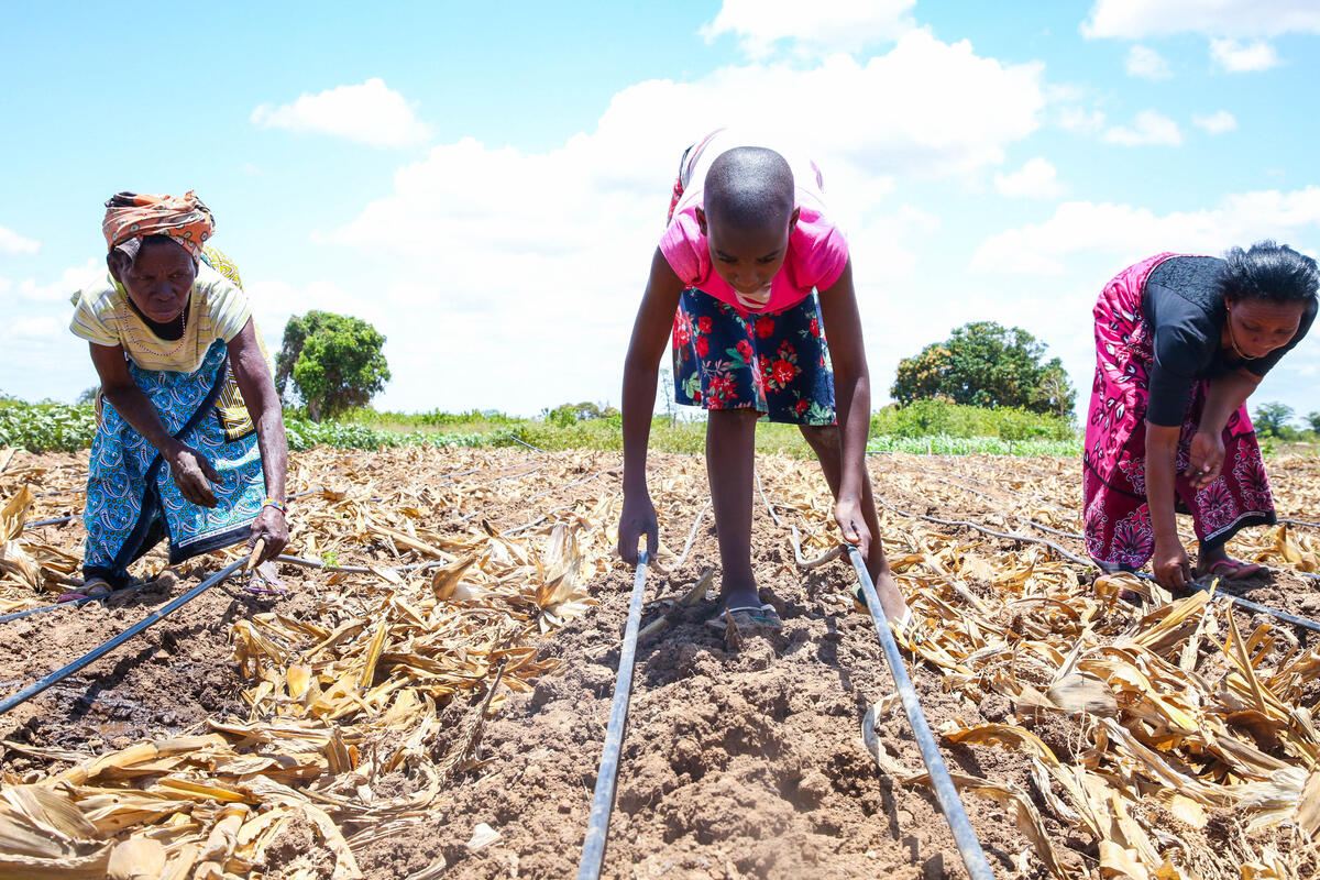 In Stella’s community in Kilifi Country, Kenya, people now have to walk up to 15km to collect water 