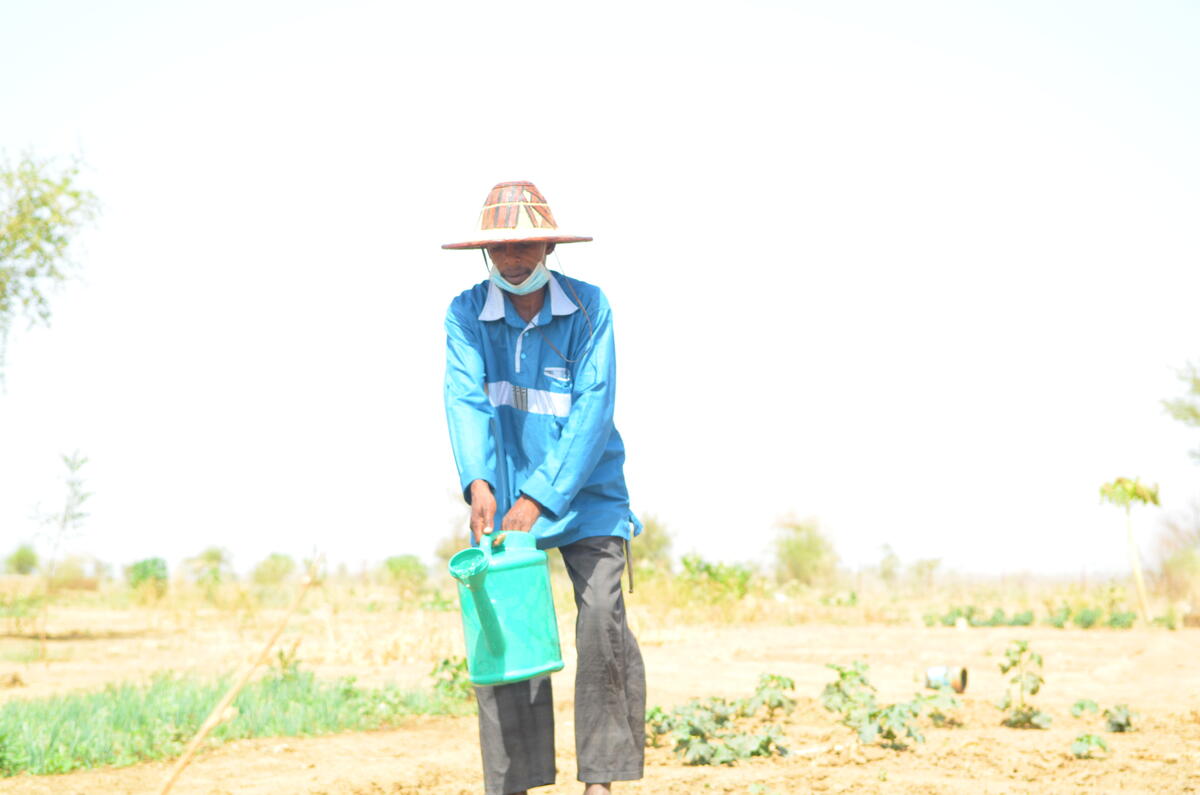 For Diallo, farming is a life-threatening activity