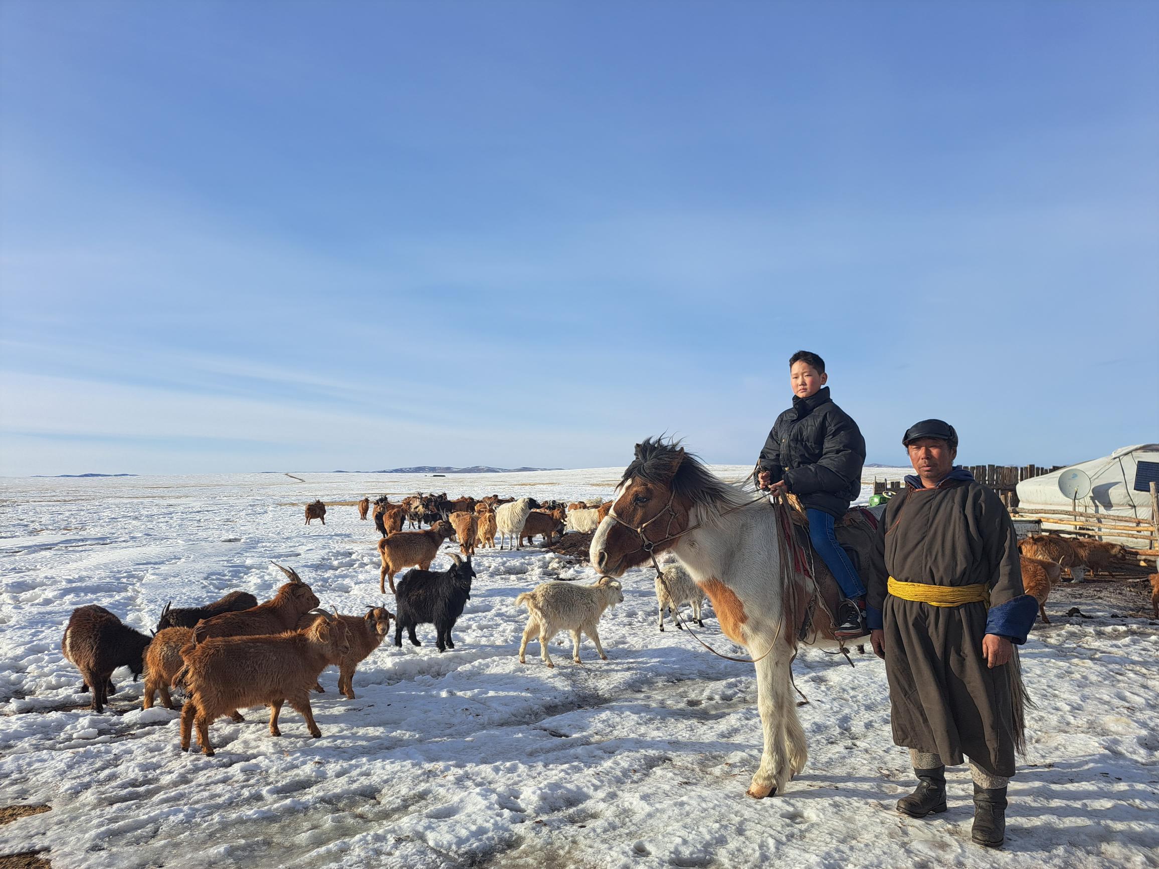 Livestock mortality has been increasing as weather gets more extreme over time