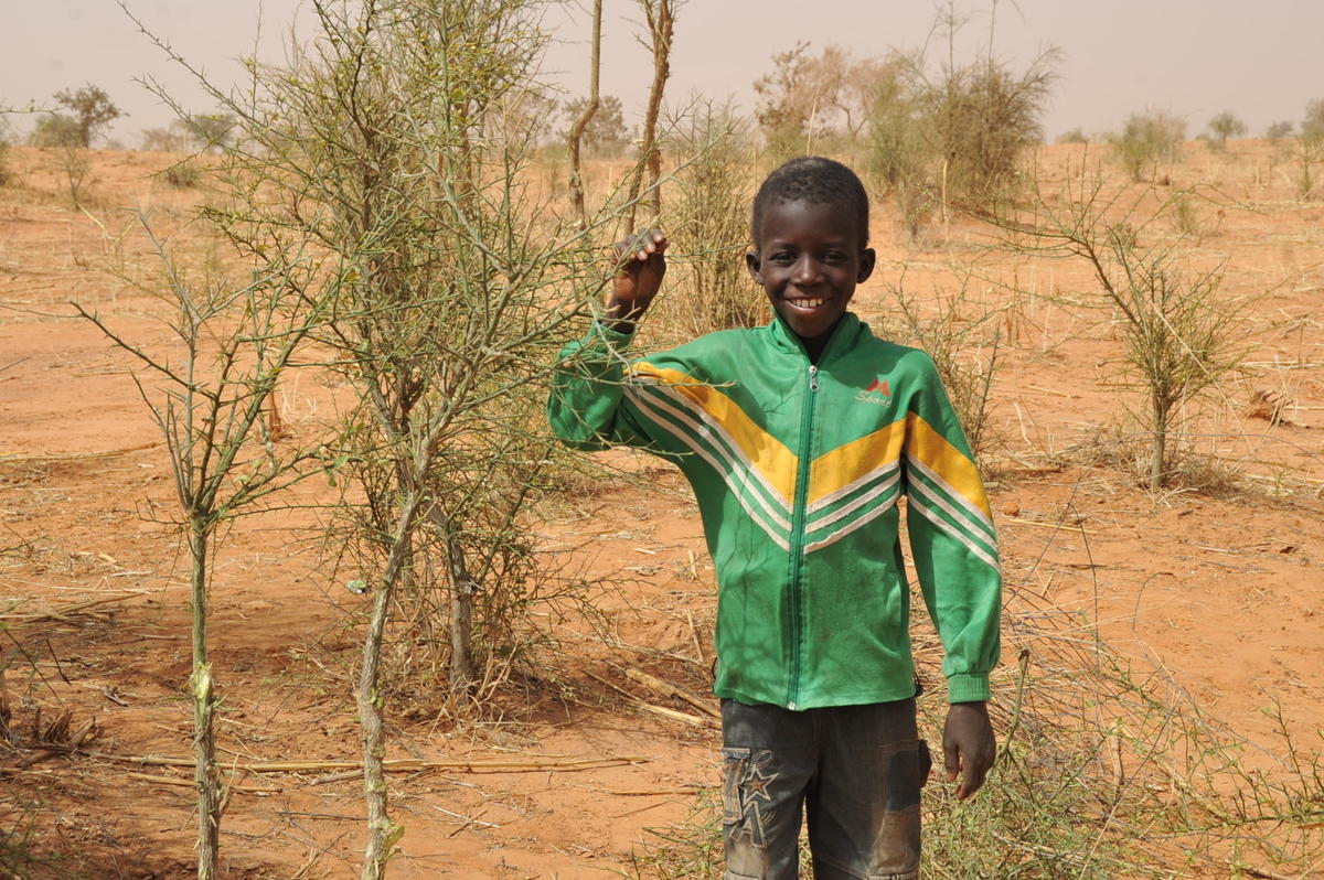 Boy stands holding a tree branch