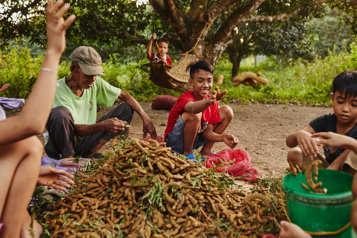 children working in agriculture