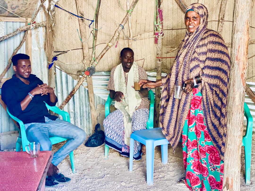 Locust Control, Cash Transfer Intervention