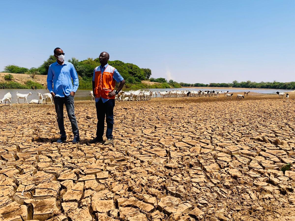 World Vision staff standing on dried cracked ground