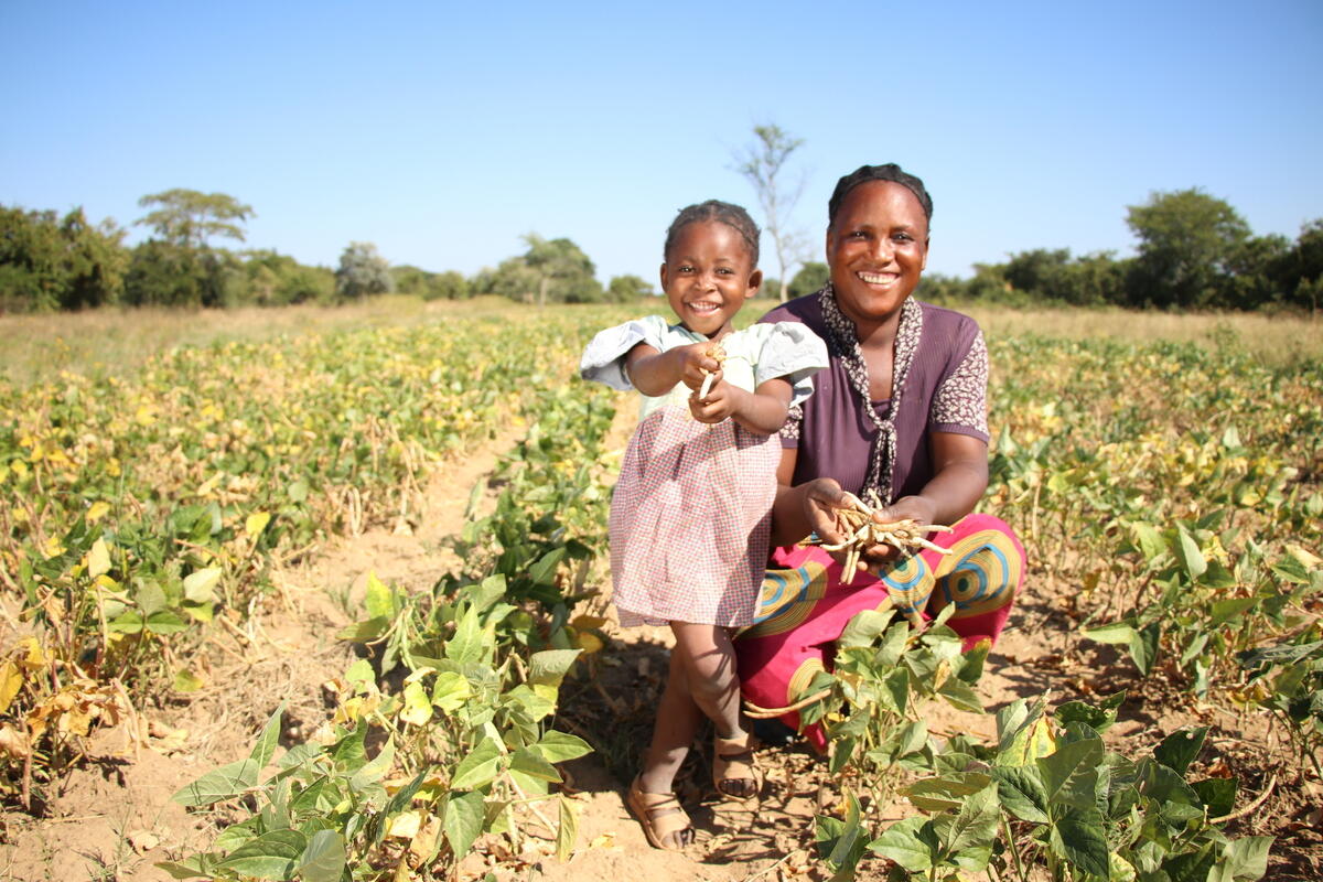 families have greater harvests through climate-smart livelihood programmes