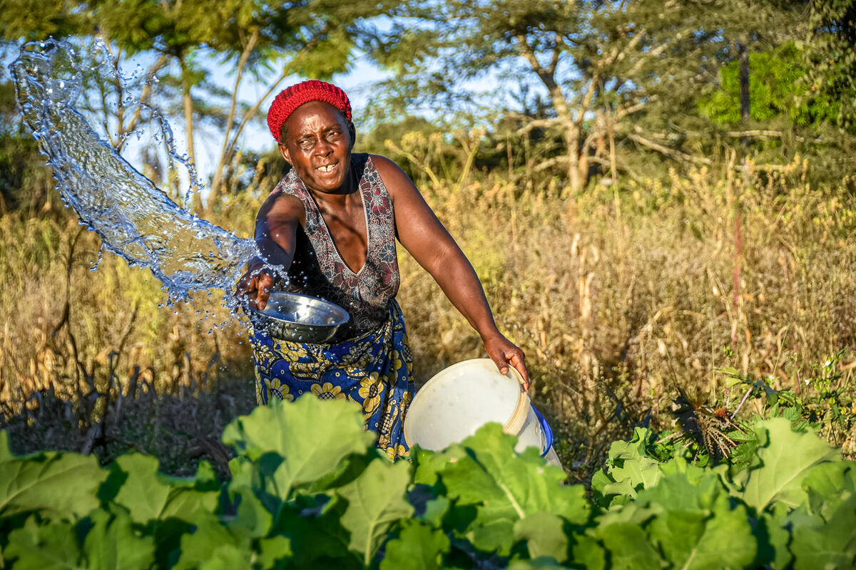 Mother in Zambia uses clean water to grow vegetables and take care of her family