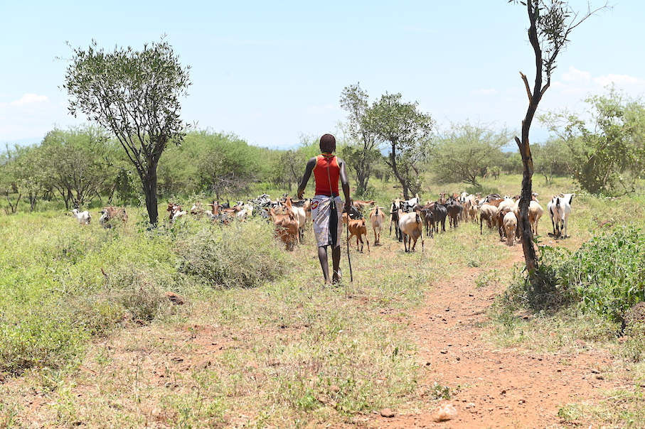After abandoning FGM, Paka took up livestock farming as an alternative source of income. ©World Vision Photo/Dickson Kahindi.
