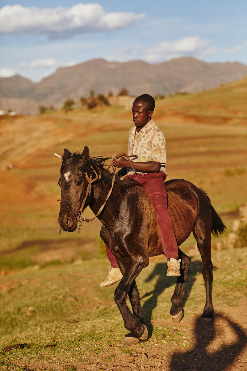 a child riding a horse