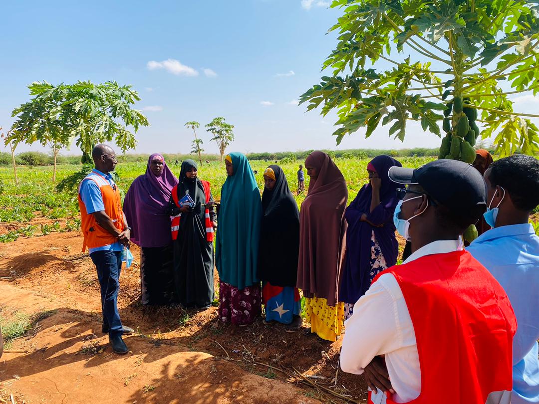 Dollow, Irrigation, kabasa farm, World Water day