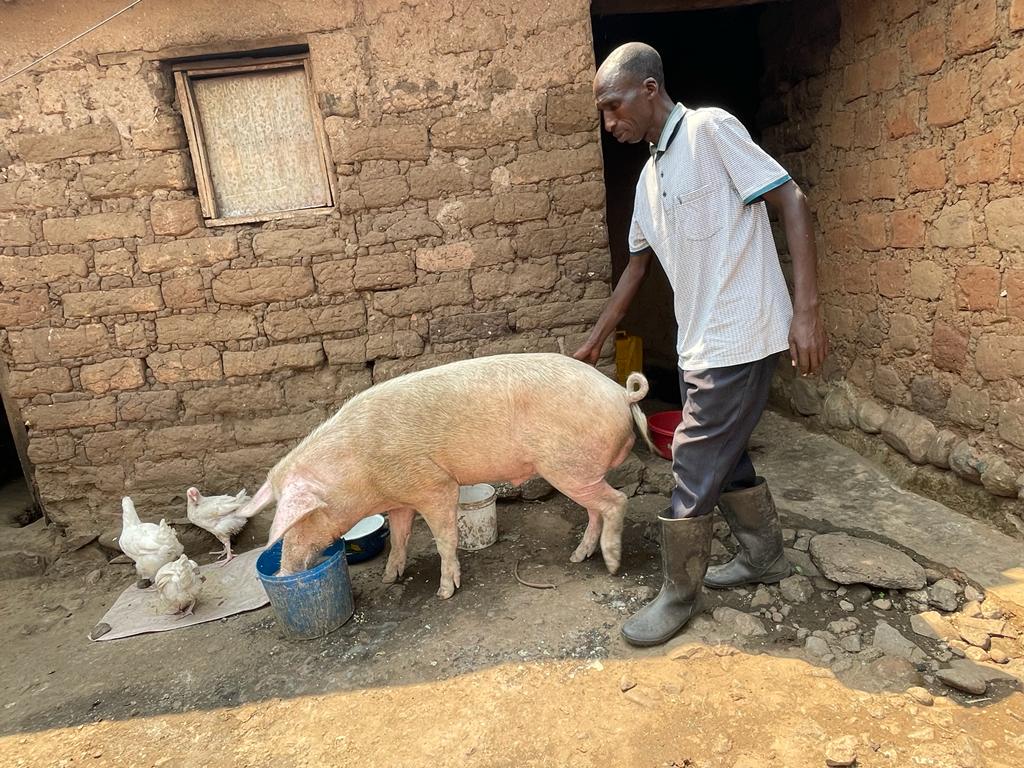 Joseph at home taking care of his livestock